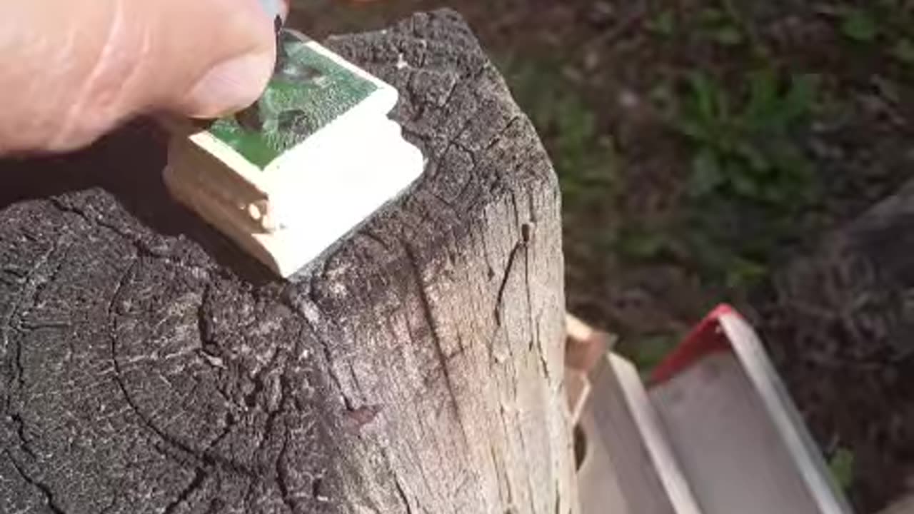 another Confederate Soldier drop