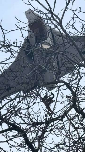 Undetonated Russian Drone Stuck In Tree Above Someone's House