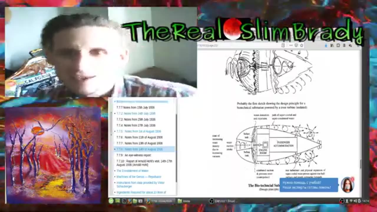 Modern Airplanes Use Viktor Schauberger Free Energy Tech