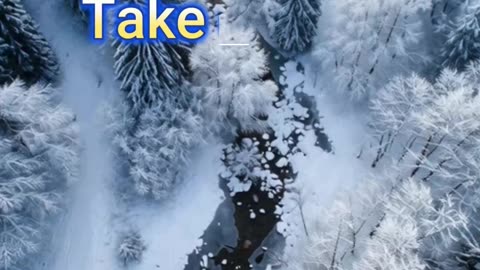 No One Is Coming to Save You