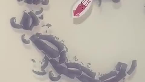 Trending: Squid Ink Science Experiment for Kids #shorts #science #TuffTray