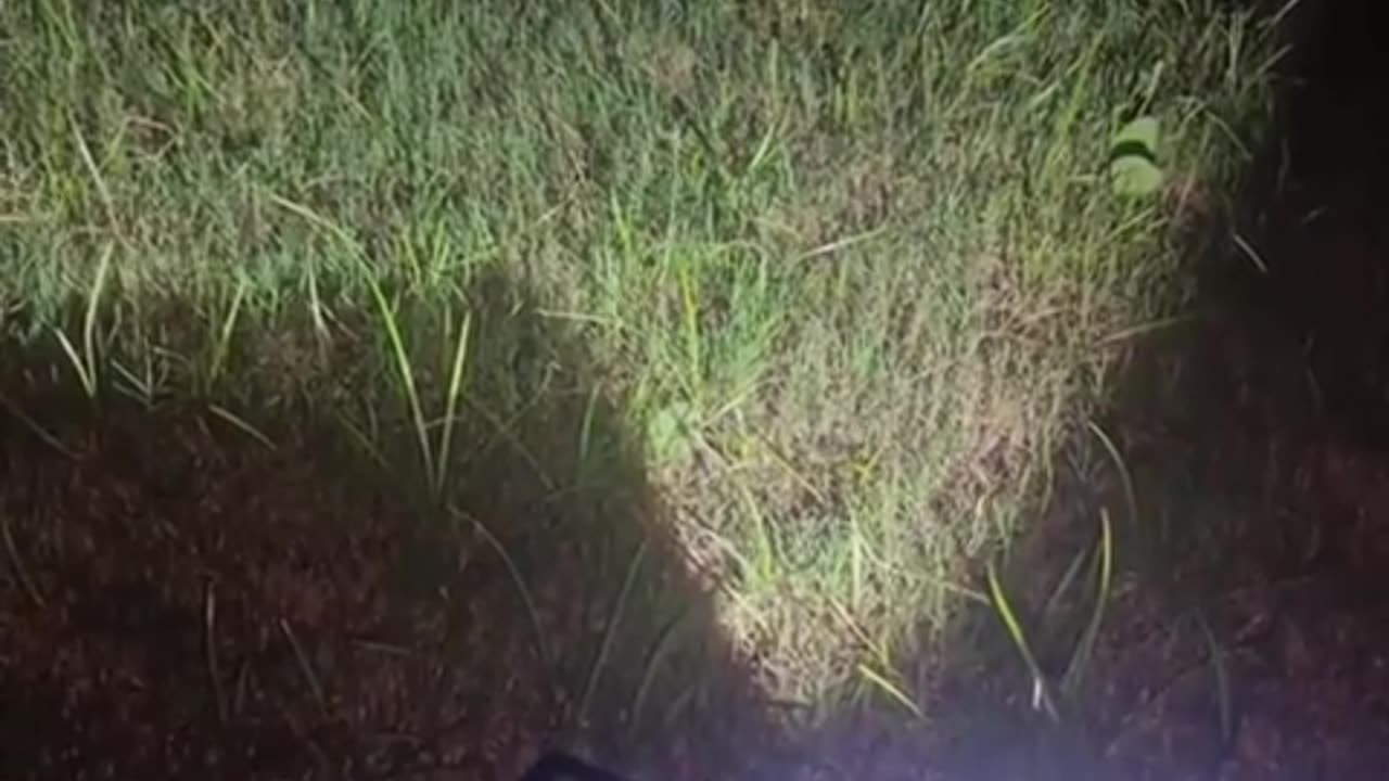 An over-engineered mosquito trap