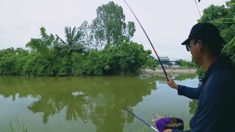 Bass Spin Fishing in Lake Weed Zones