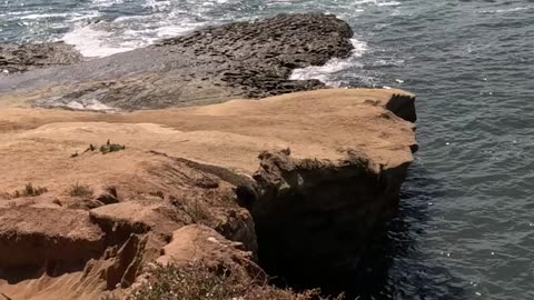 One of the Many Arches & Coves at Sunset Cliffs San Diego #waves #ocean #naturalbeauty