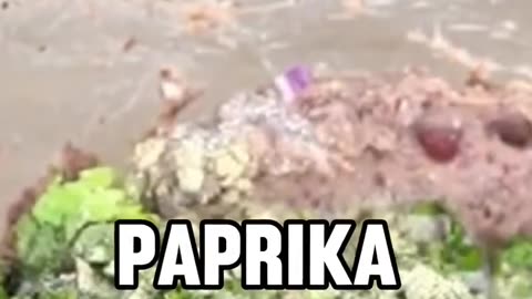 Say Goodbye to Stubborn Fat & Extra Body Weight – Try This Now!