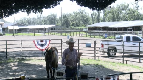 Skipper Calder & Cowboy-up Ministry bring horse training with a message at 11am.