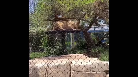 🎥 "Banned TV Episodes They NEVER Want You To See!"