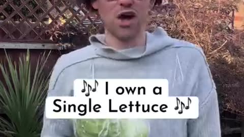 Misheard Lyrics - Comedy