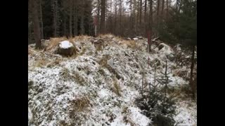 Landscape History 6 Clashindarroch