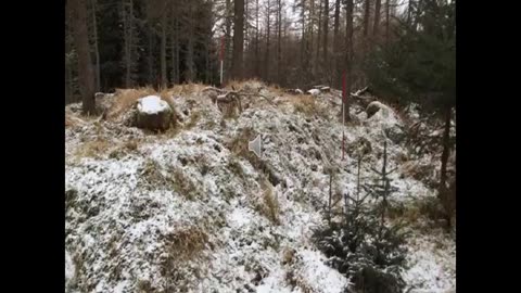 Landscape History 6 Clashindarroch