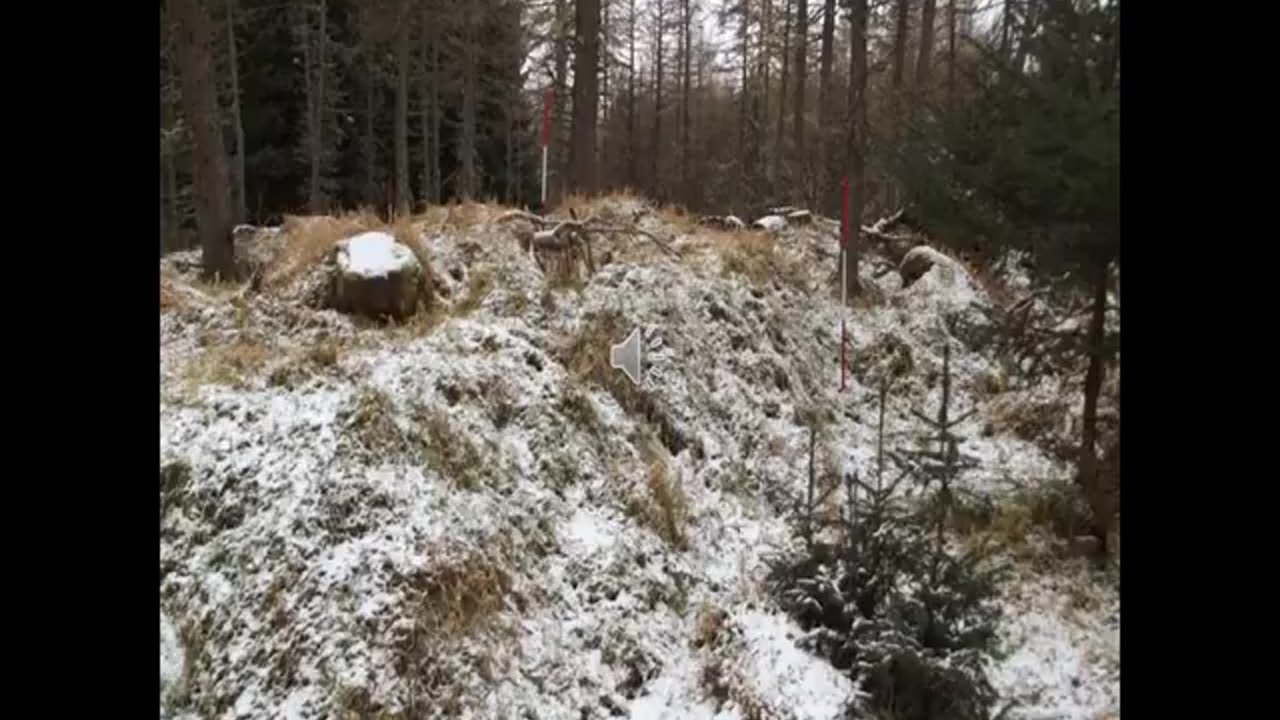Landscape History 6 Clashindarroch