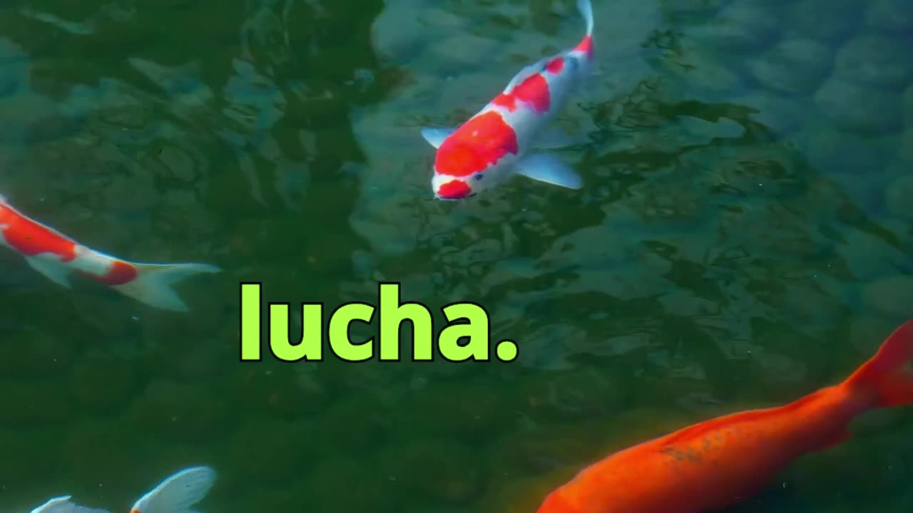 😊 155 TODO LO QUE RESISTES, PERSISTE. 😊