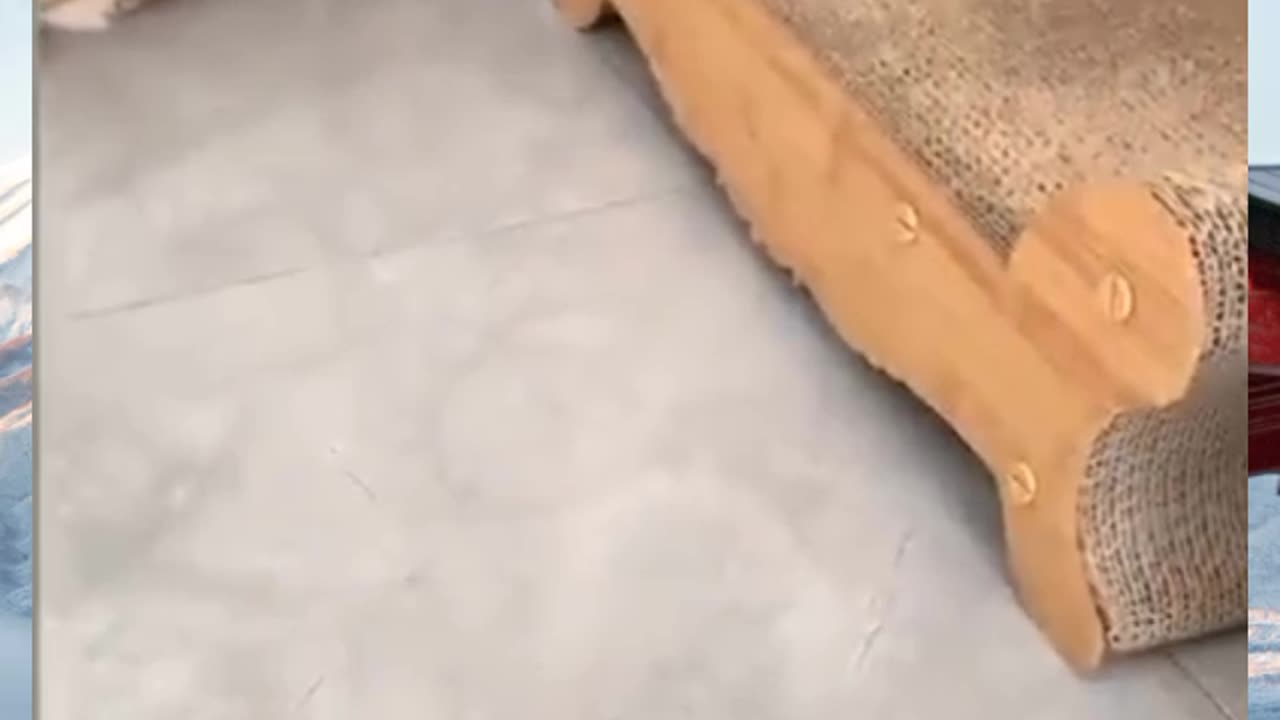 Mr