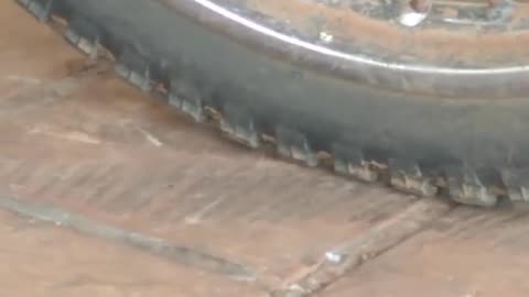 Parrot Uses Beak to Deflate a Motorcycle Tire