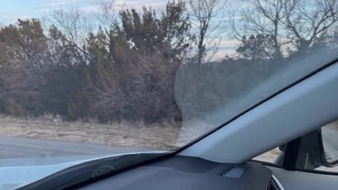 I cannot tell you how sad I am. Driving across Texas is a two-day drive. It's 7:30 in the morning Links ⏬⏬⏬