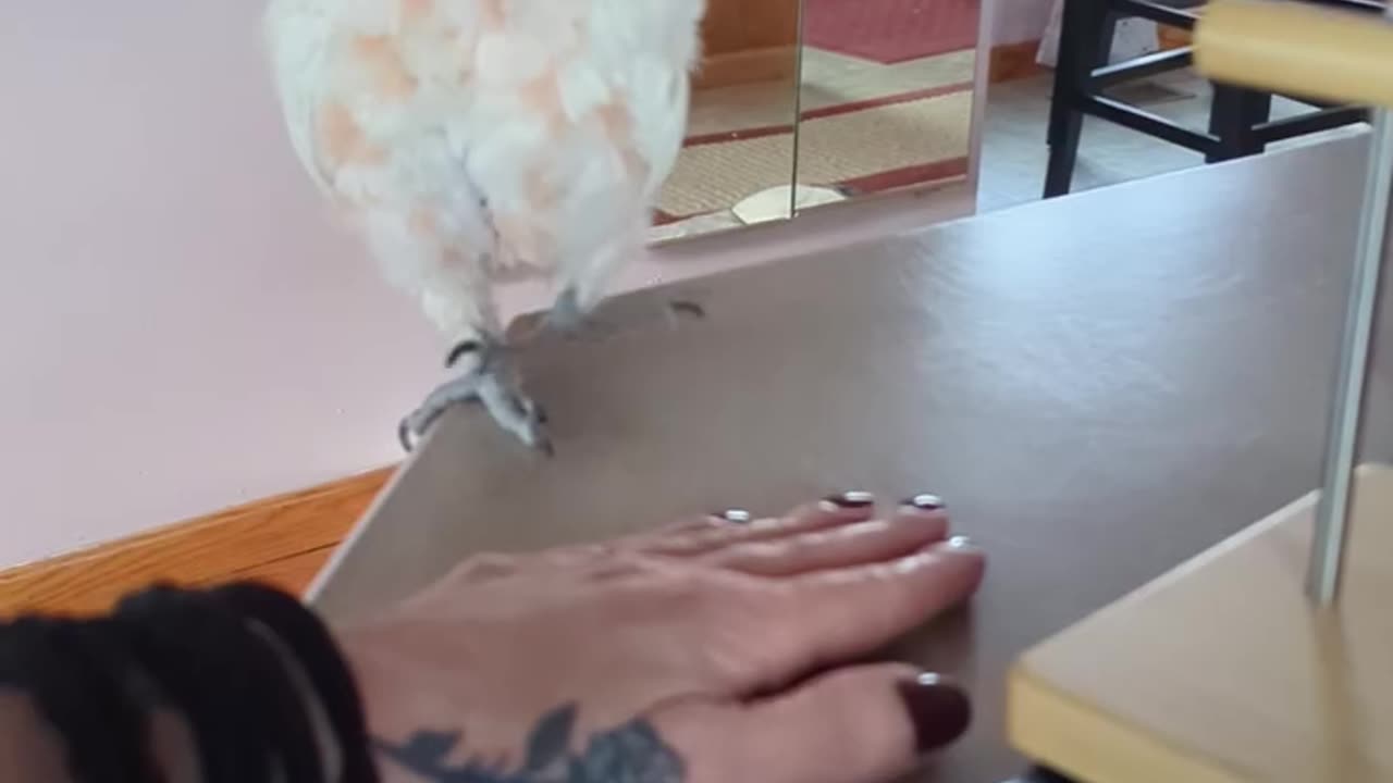 He Is Afraid Of The Scale