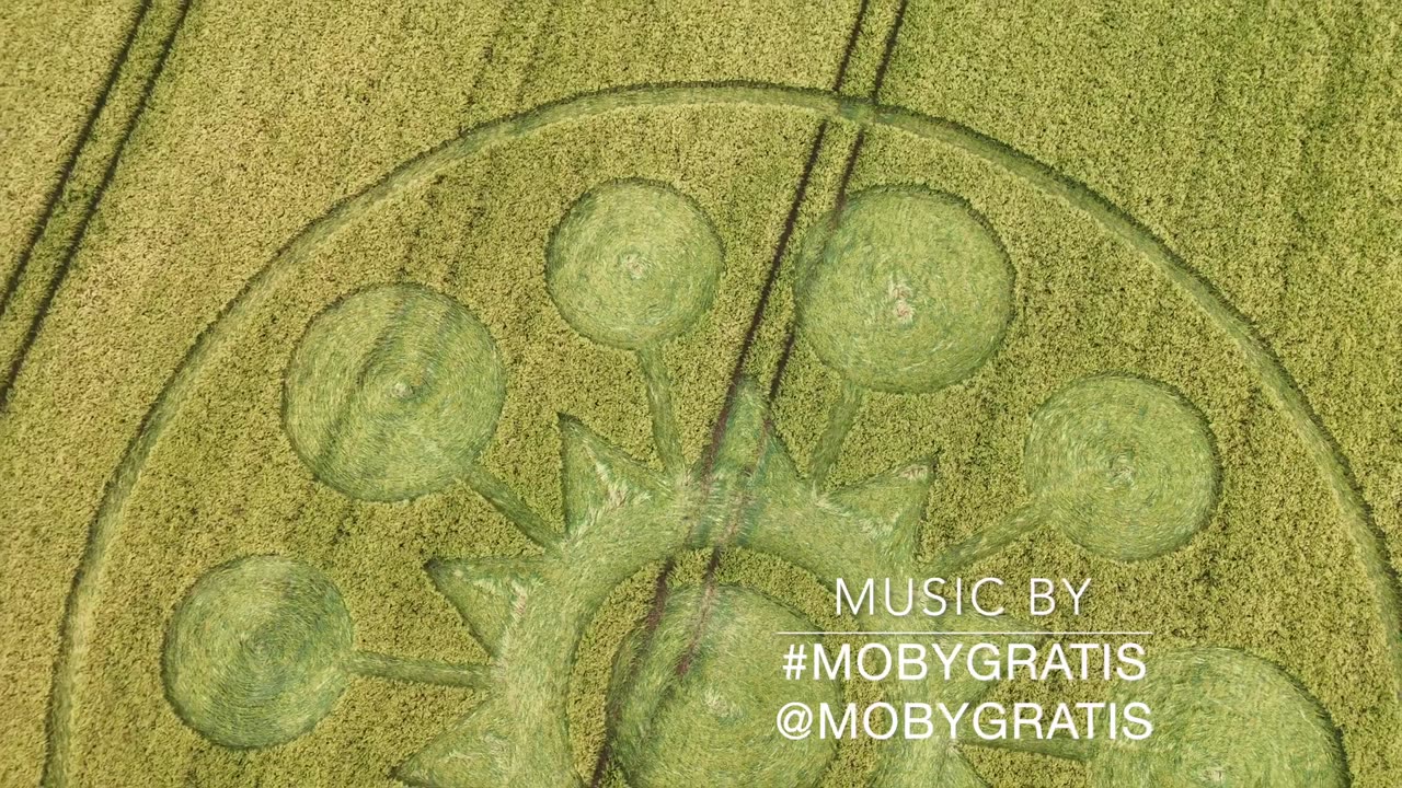 Crop Circle d'Avebury, le 25 juin