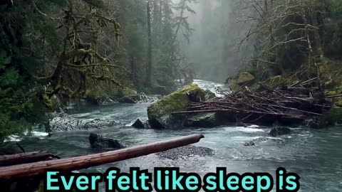 Insomnia Facts#ElderCare 🧓 #SleepTips 😴 #CalmNights 🌙 #RestEasy 🛏️ #GoldenYears 🌟