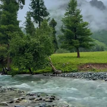 Domel Astore Valley Gilgit Baltistan ♥️🇵🇰