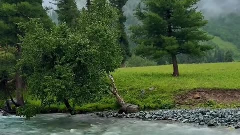 Domel Astore Valley Gilgit Baltistan ♥️🇵🇰