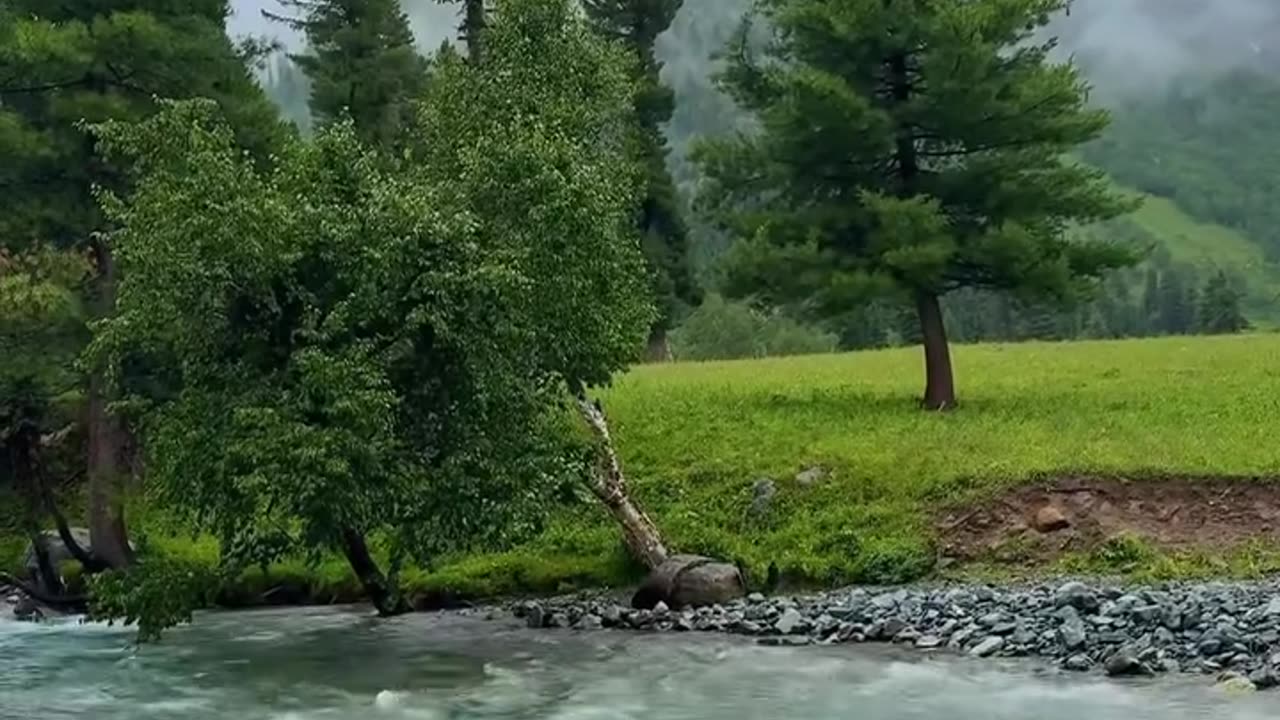 Domel Astore Valley Gilgit Baltistan ♥️🇵🇰