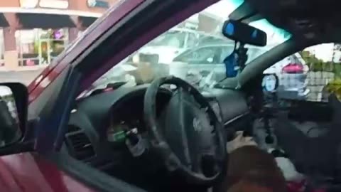Arrestan a mujer y hallan a su mapache con una pipa de metanfetamina