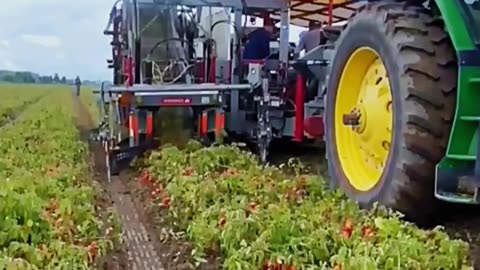 America is Great Country