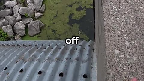 Fishing at 2 Massive Drain