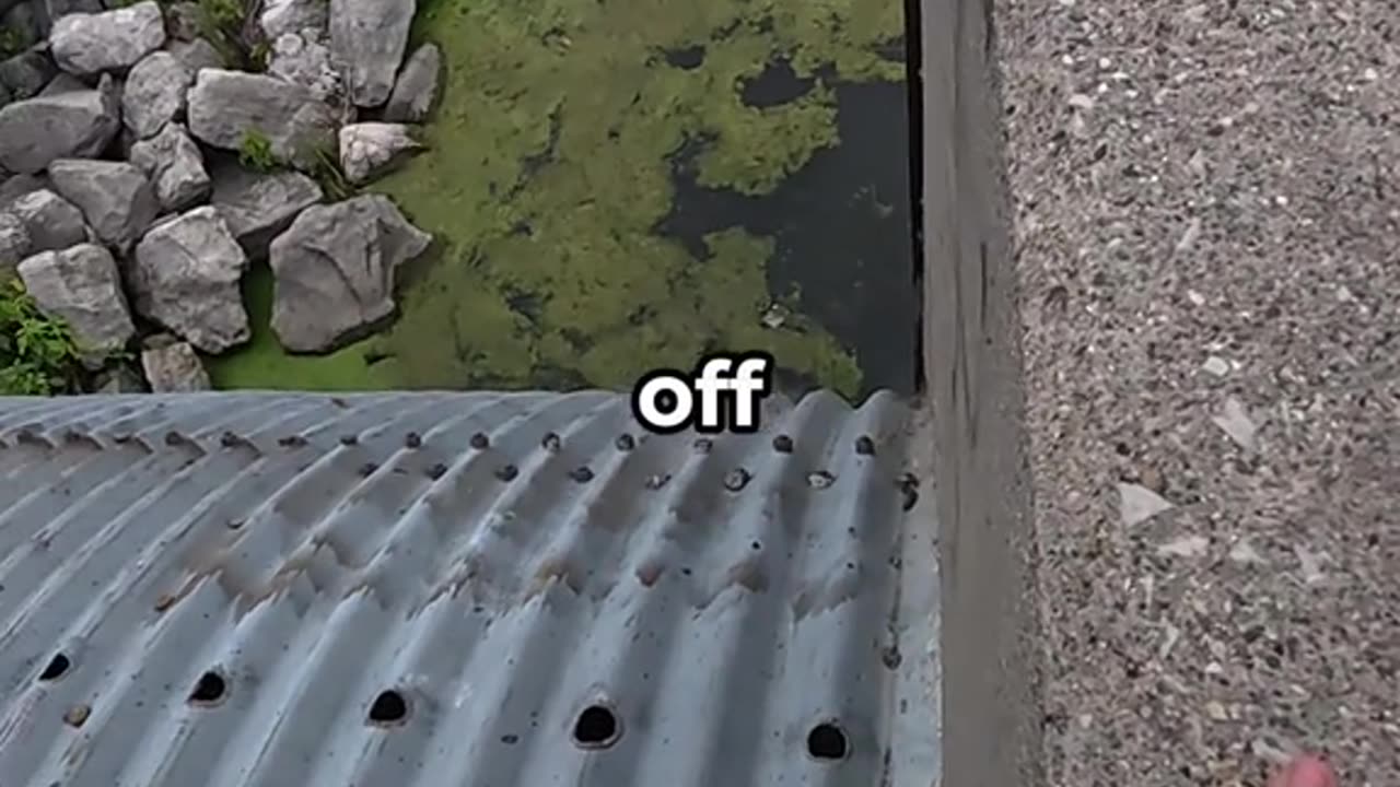 Fishing at 2 Massive Drain