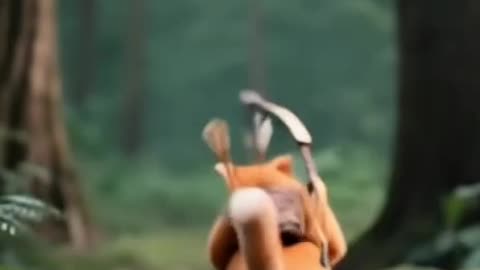 arrow cat WIth Tiger Funny animated story