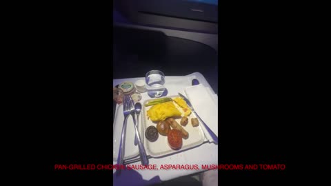 Singapore Airlines Business Class flight from Milan to Singapore