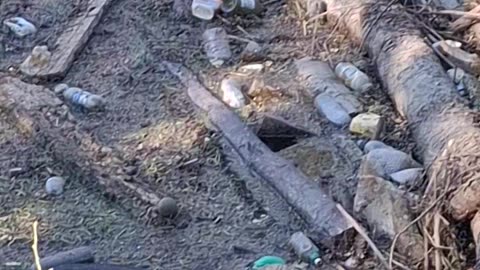 Filthy Litter Dam