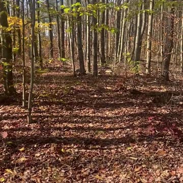 FLT climb to Sugar Hill