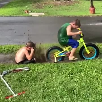 Entertainment comes in many forms