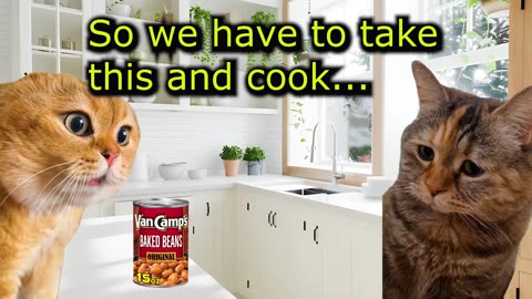 A Cat has Stomach Problems After Eating Beans for the First Time (Ep.102)