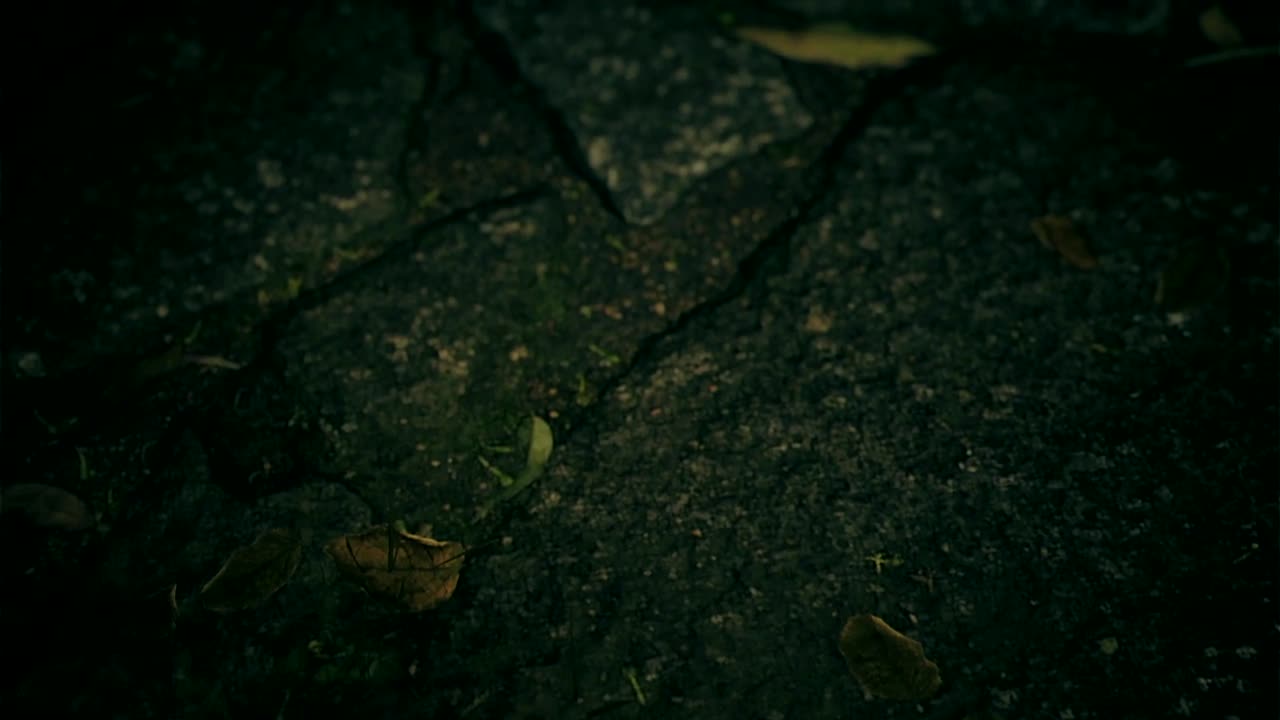 The Sinning monster in Silent hill f