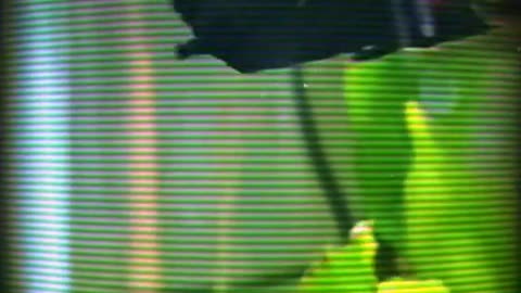 Moshuh Archive 12/26/2024