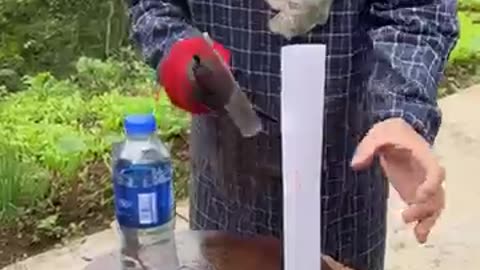 Sharp kitchen knife