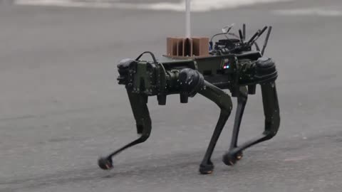 INSANE Moments from U.S. Army’s 250th Birthday Parade 🇺🇸 (Robot Dog, Helicopters, & More!) |