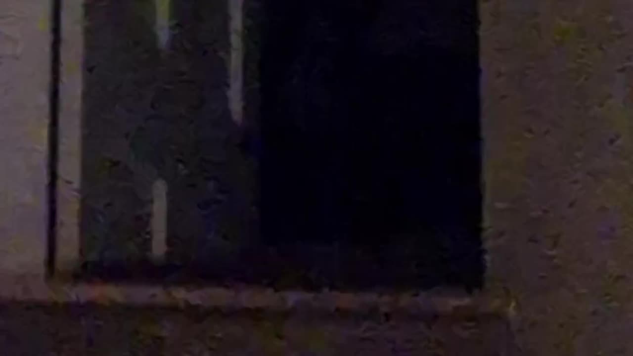 😱👻 What The Hell Is This?! | TheHauntingHour