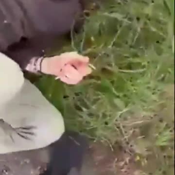 Pakastani tried to r8p 12 year old girl - father shows up with dogs