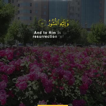 The Test of Life – Surah Al-Mulk (2–5) | A Heavenly Reminder