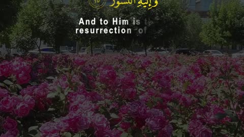 The Test of Life – Surah Al-Mulk (2–5) | A Heavenly Reminder