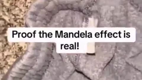 evidence of the Mandela Effect.