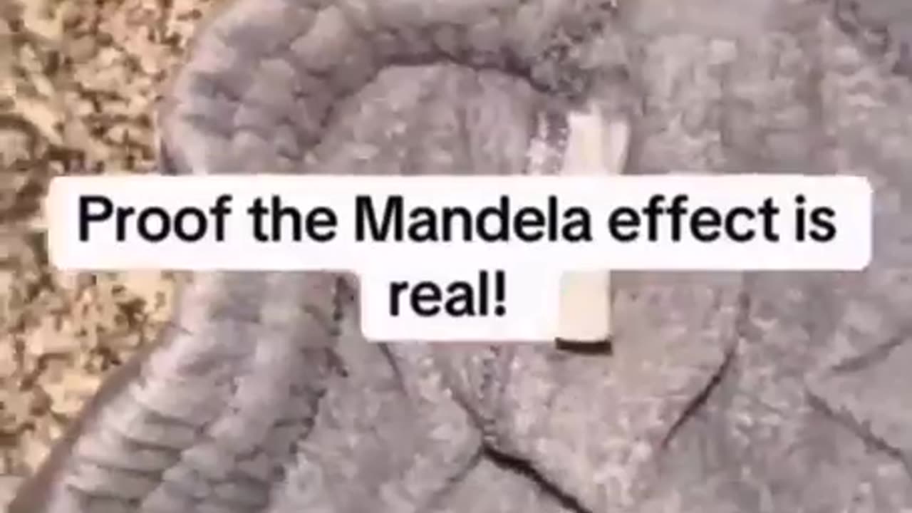 evidence of the Mandela Effect.