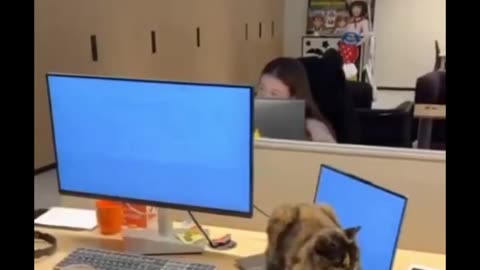 Being cold is kind of fun!