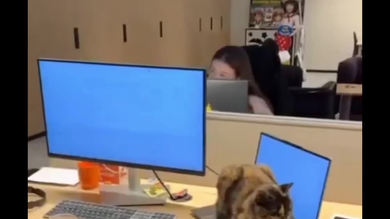 Being cold is kind of fun!