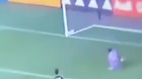 Australia - No company will risk a $50 million fine for breaking the online 'safety' law!