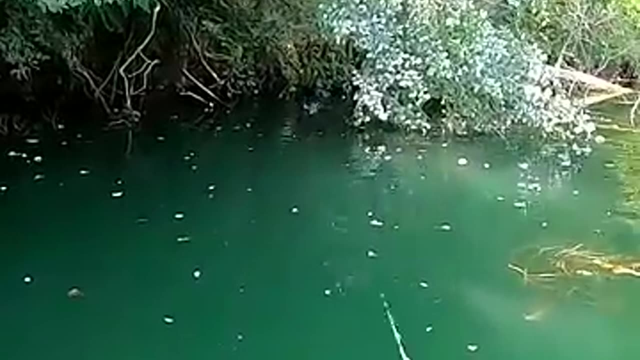 Beautiful fishing Channel