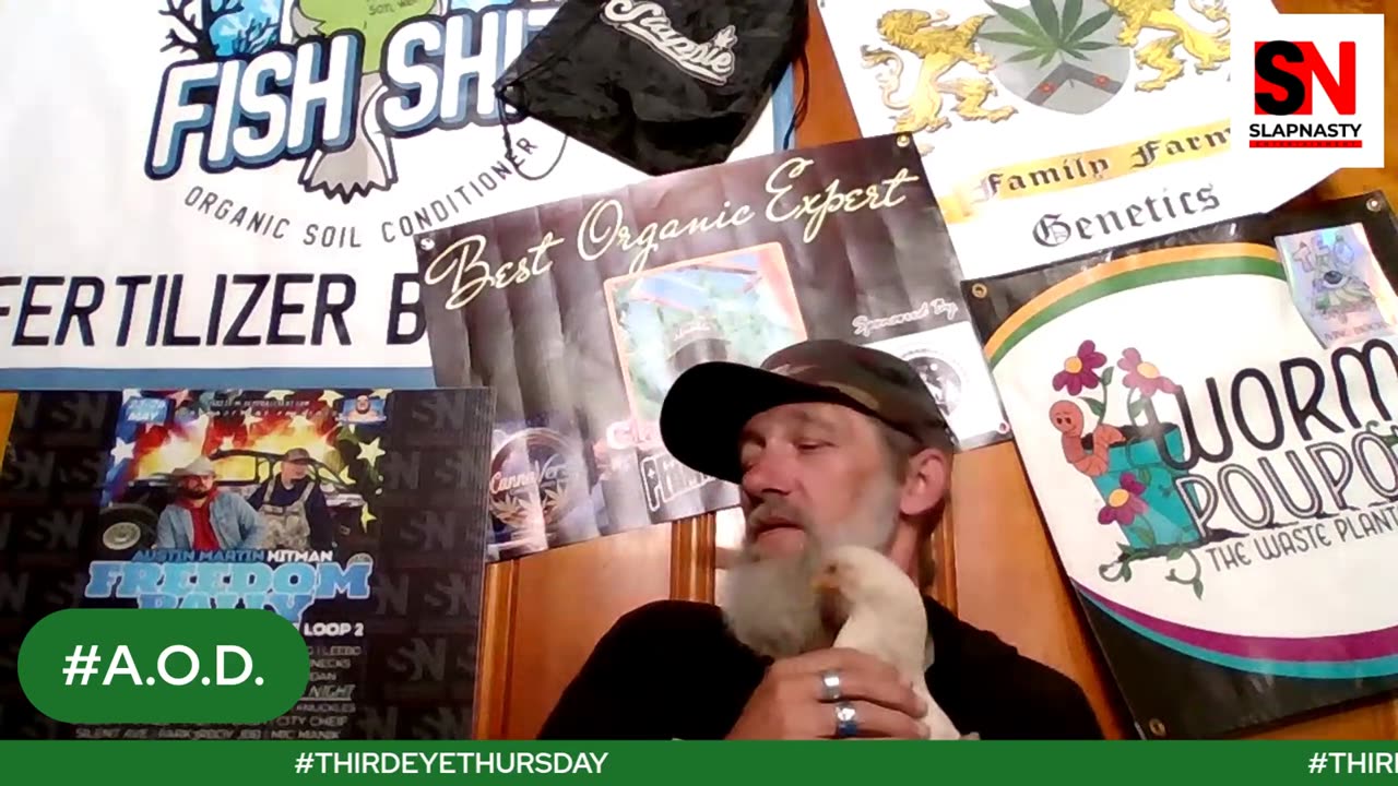 Third Eye Thursday Clayton Neidigh